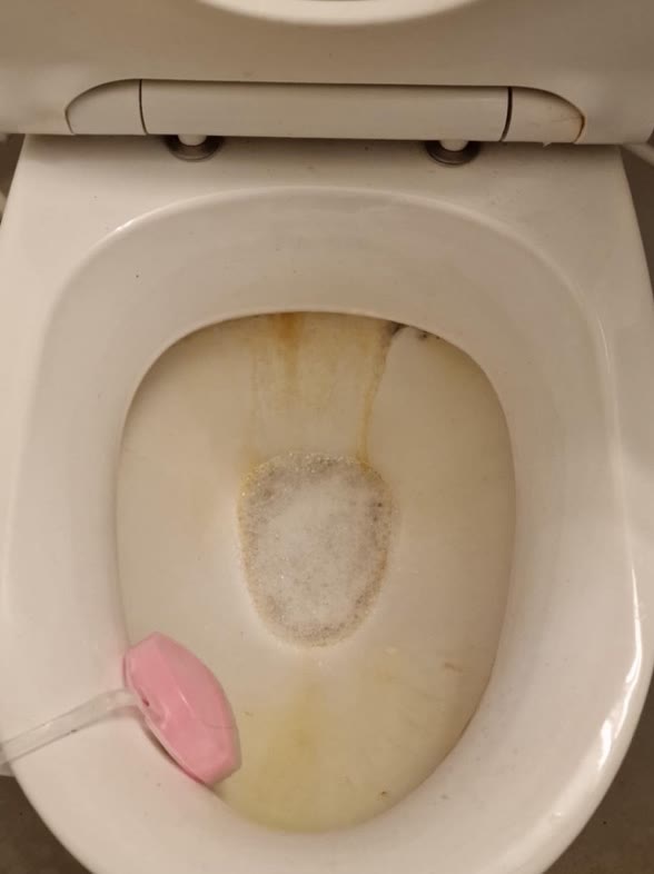 Toiletkumme med aflejringer før rengøring